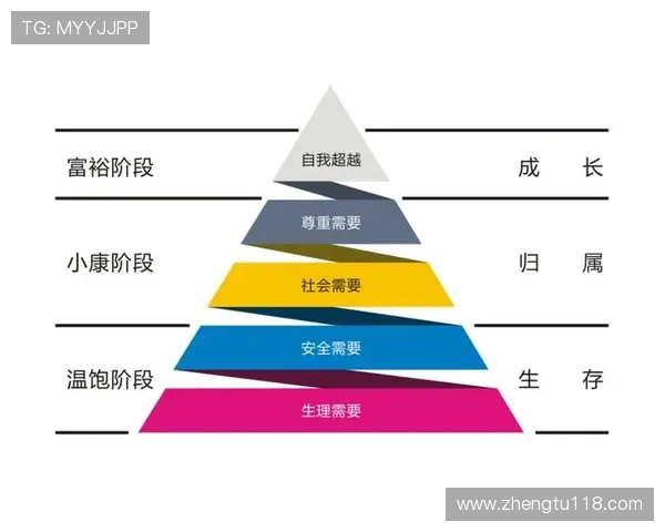 探索永乐国际网址的安全性与用户体验