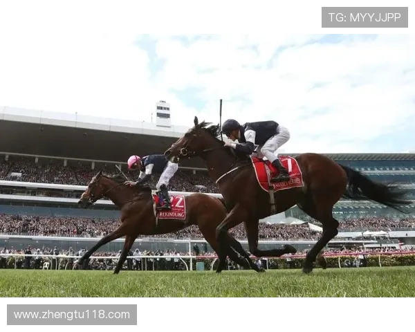 澳亚电视赛马直播今日精彩赛事全程实况报道